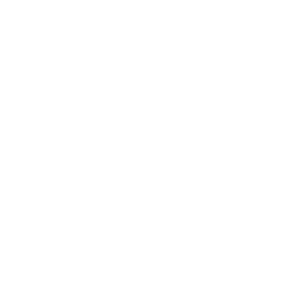 arbejdstilsynethvid